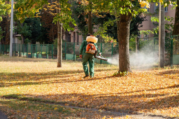Best Pest Inspection Near Me  in Johnsonburg, PA