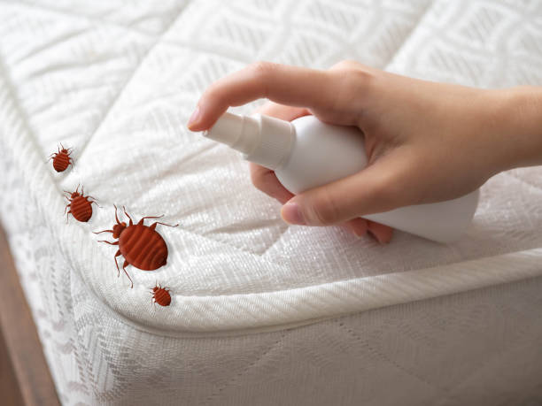 Trusted Johnsonburg, PA Pest Control Experts