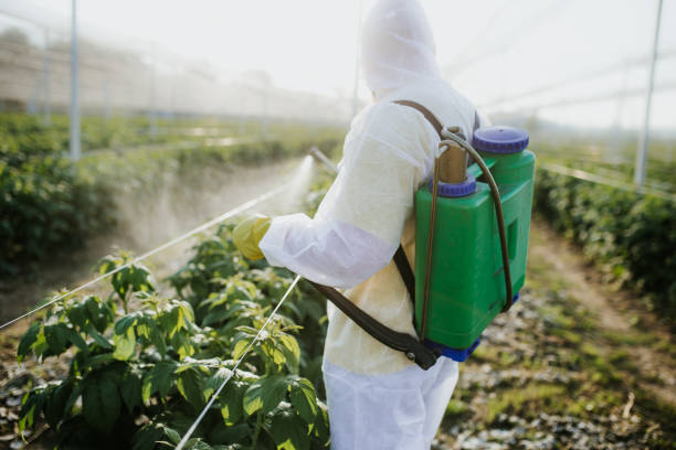 Best Best Pest Control Companies  in Johnsonburg, PA